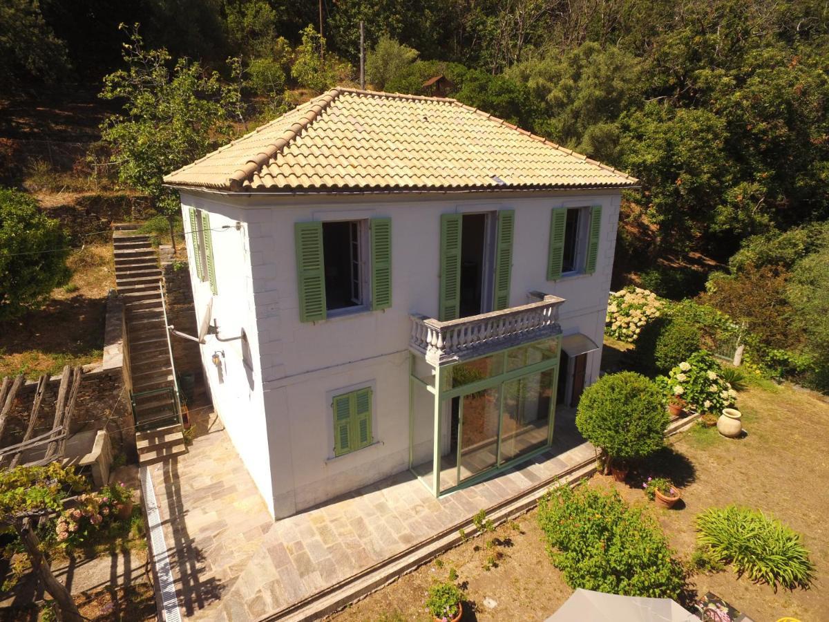 Aroma Green Villa Cagnano Eksteriør billede