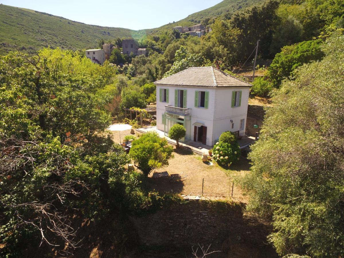 Aroma Green Villa Cagnano Eksteriør billede