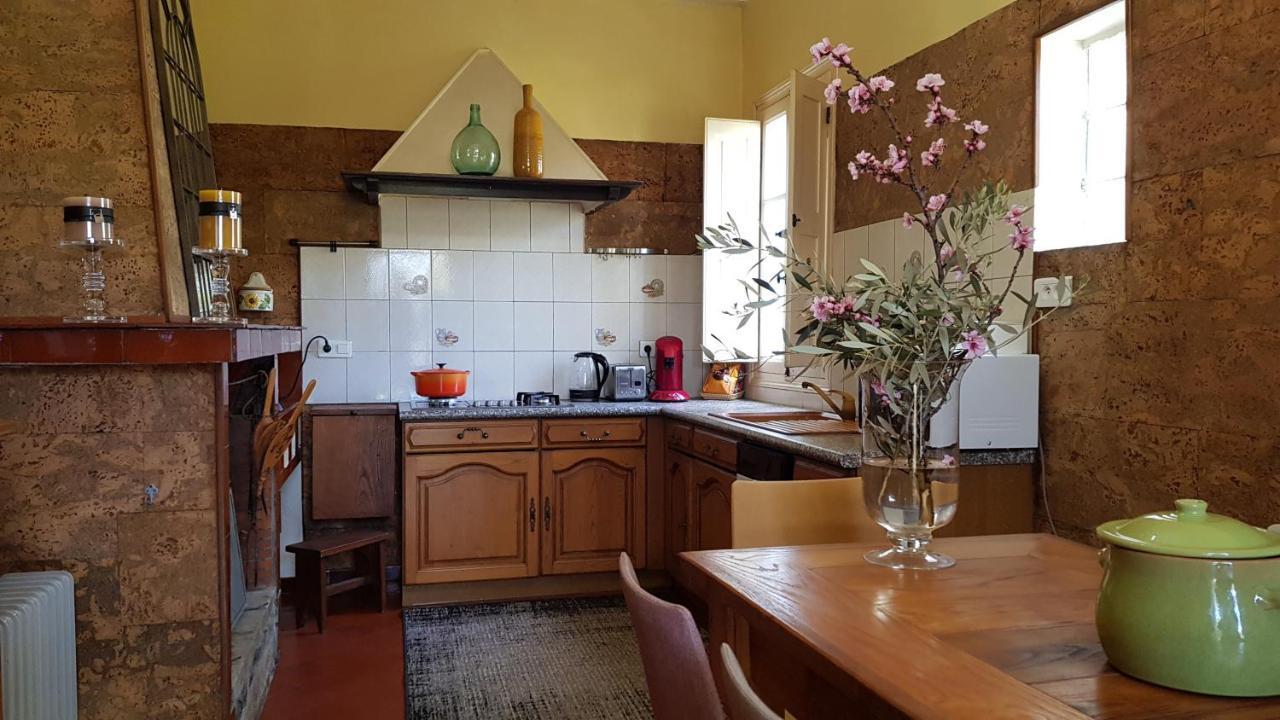 Aroma Green Villa Cagnano Eksteriør billede